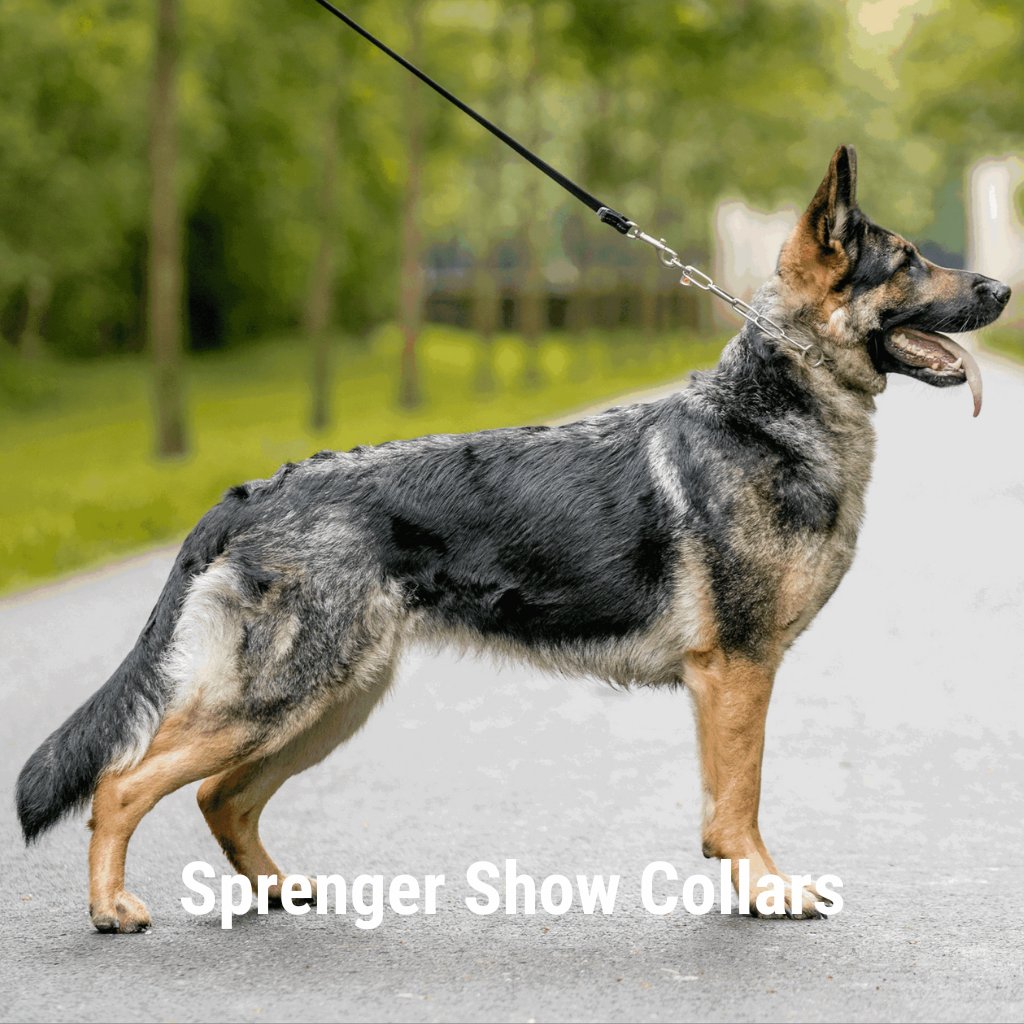 Dog Collars And Leashes Merry Dog Collar U2013 Susan Alexandra Dog ...