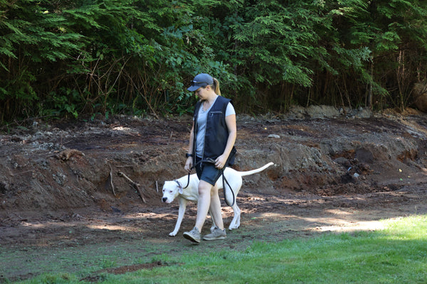 Pet Dog Training 6-Pack