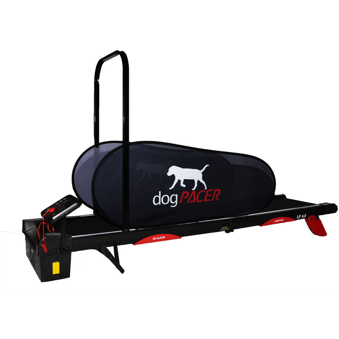 Dogpacer lf 3.1 dog treadmill hotsell