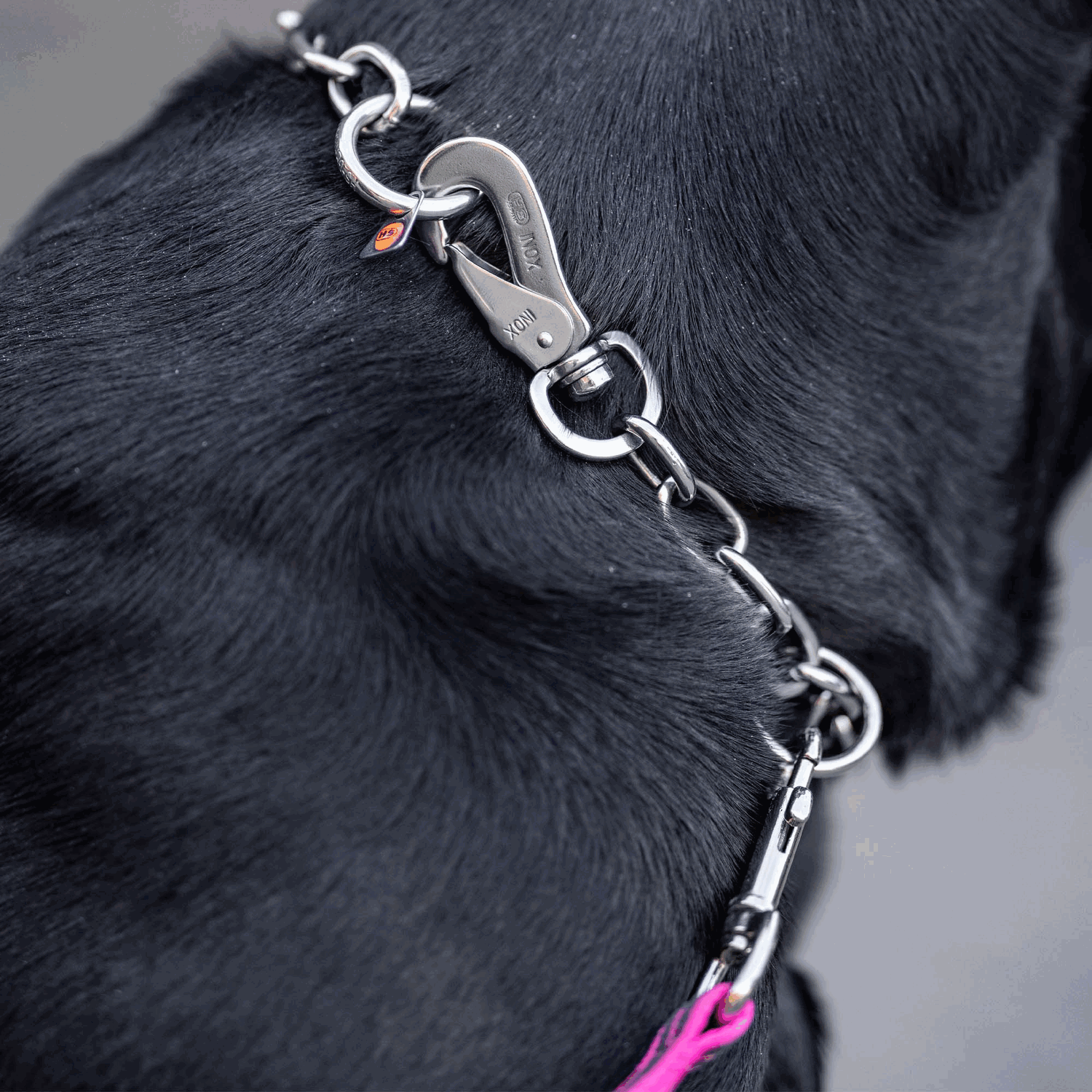 Dog Prong Training Collar With Rubber Tips | Medium Size For Large Breed Dogs