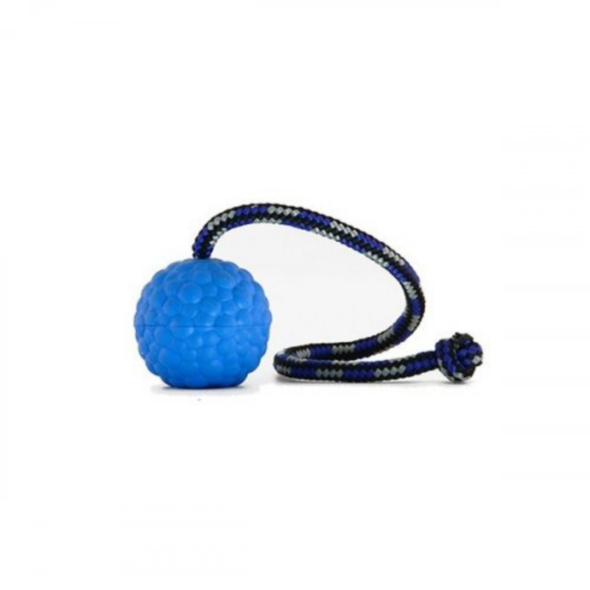 Dog on a string toy clearance