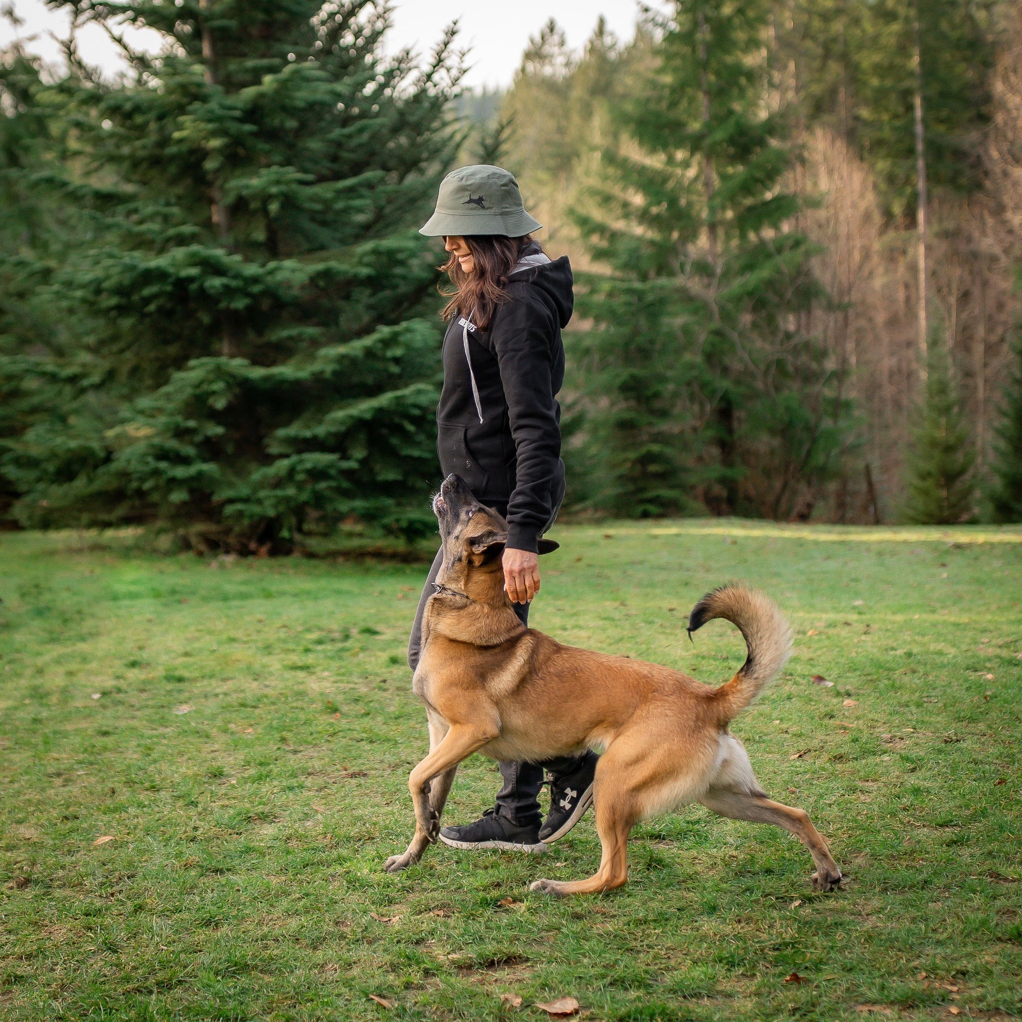 Pet Dog Training 6-Pack Ruffdog - Main Image