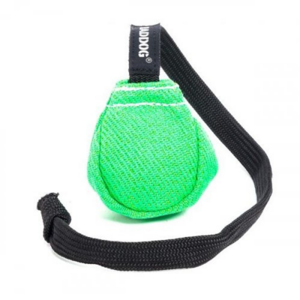 Mint green fabric dog training ball with a durable textured surface and a braided nylon handle, featuring a small “RADDOG” label, isolated on a white background.