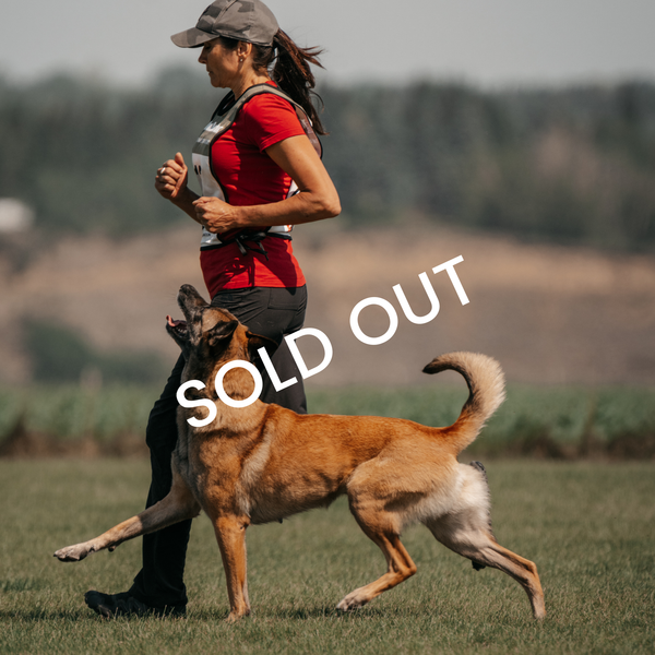 Christine Kisser IGP Workshop - Fraser Valley, BC February 2026