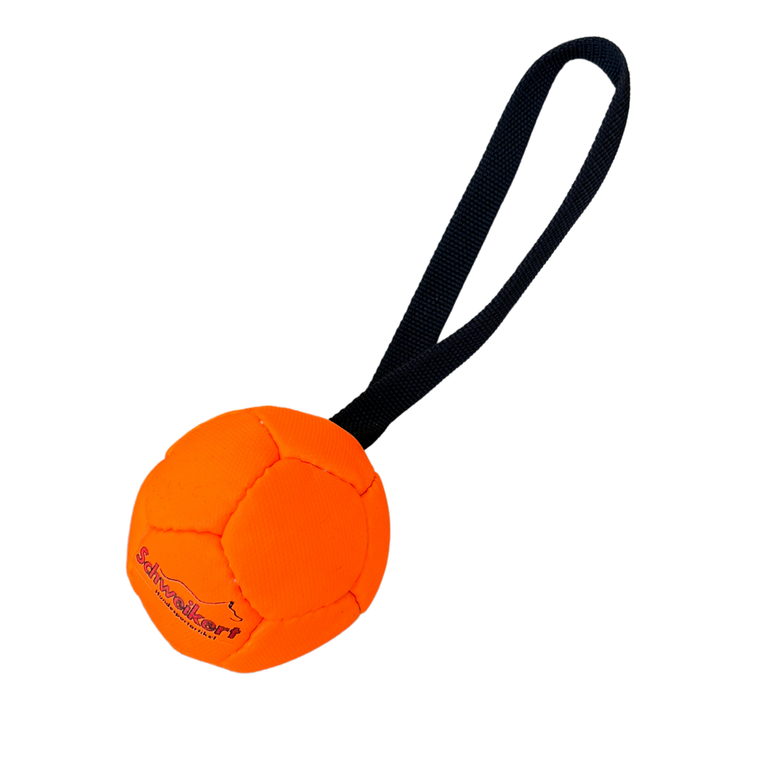 Schweikert Small Ball with Handle for Dogs