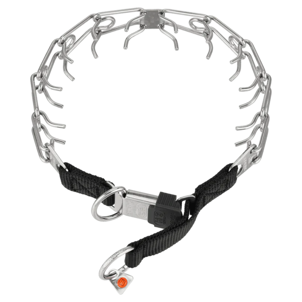 Dog Prong Collar Training: Essential Tips & Techniques