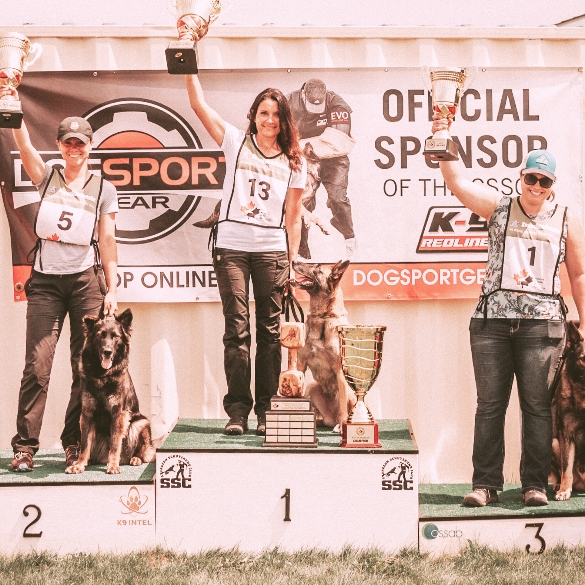 Dog Training Lessons Ruffdog Sports