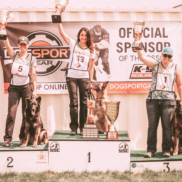 Dog Training for Sport or Pet Dogs - Drop-In lesson