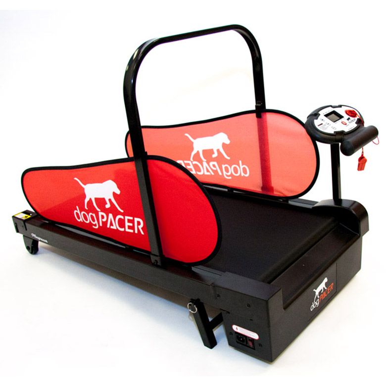 Dog Pacer Treadmill Ruffdog Sports