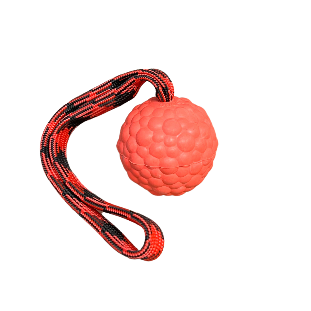 Red textured rubber dog ball with a raised bubble pattern, attached to a black and yellow braided rope handle, isolated on a white background.