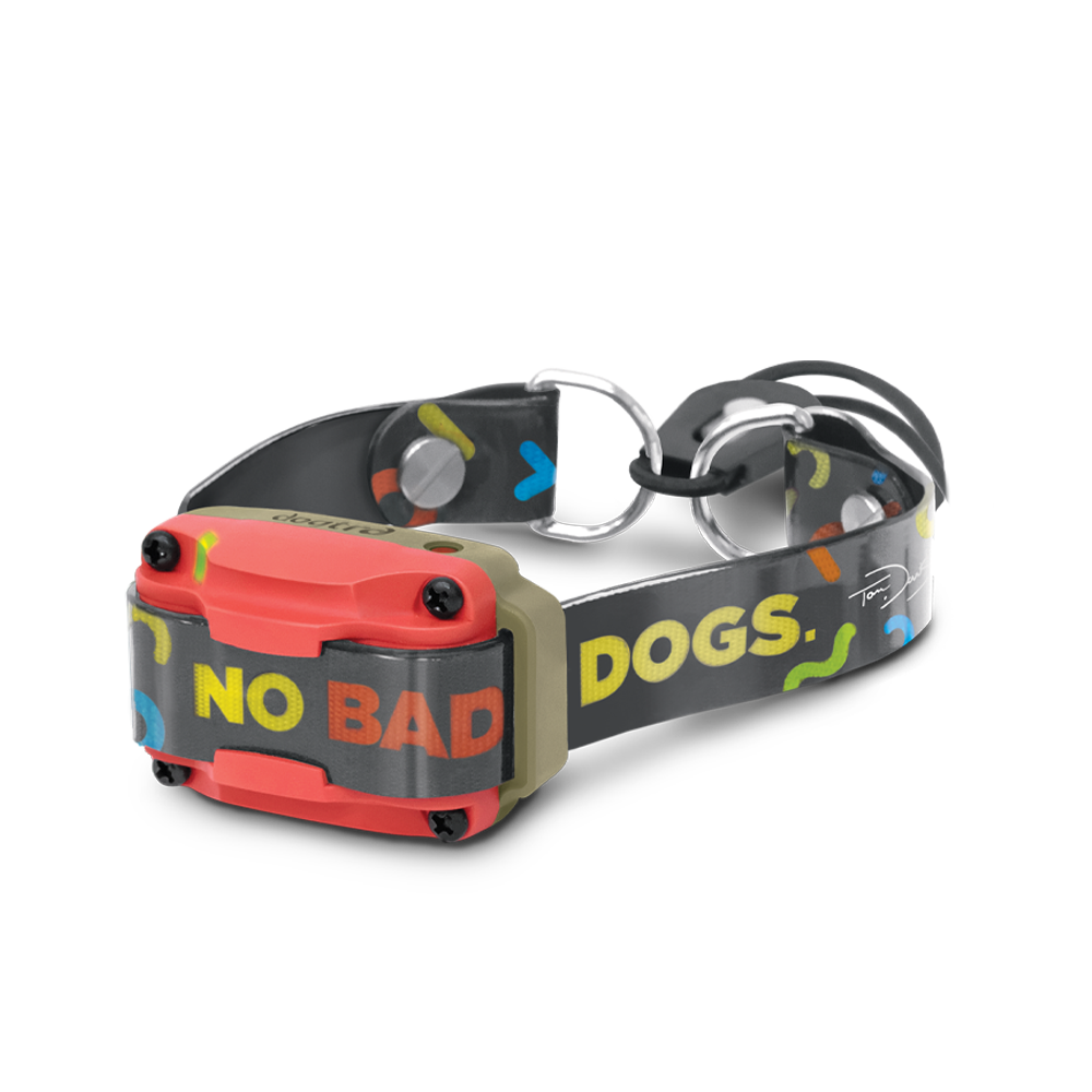 Dogtra Tom Davis 280CR with Boost & Lock