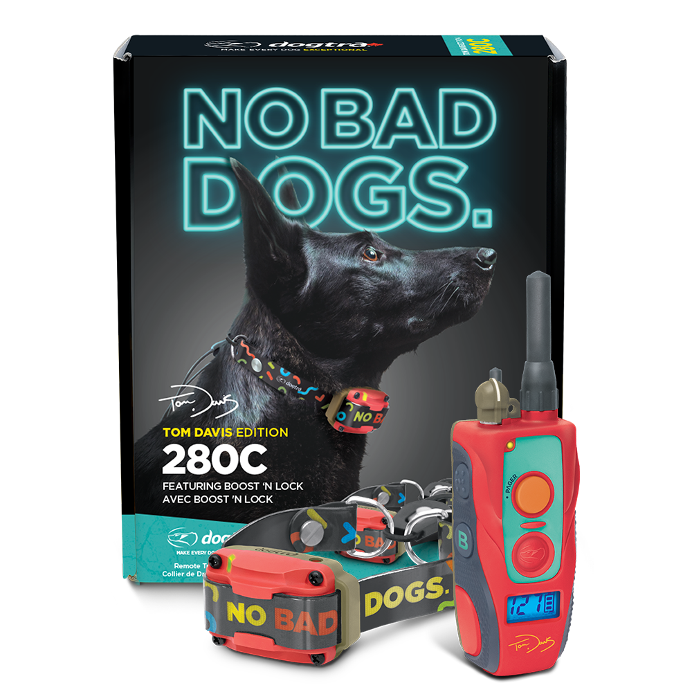 ザット・ドッグ トータリー・クラッシュド・アウト! DGC that dog ザット・ドッグ トータリー・クラッシュド・アウト! DGC that dog