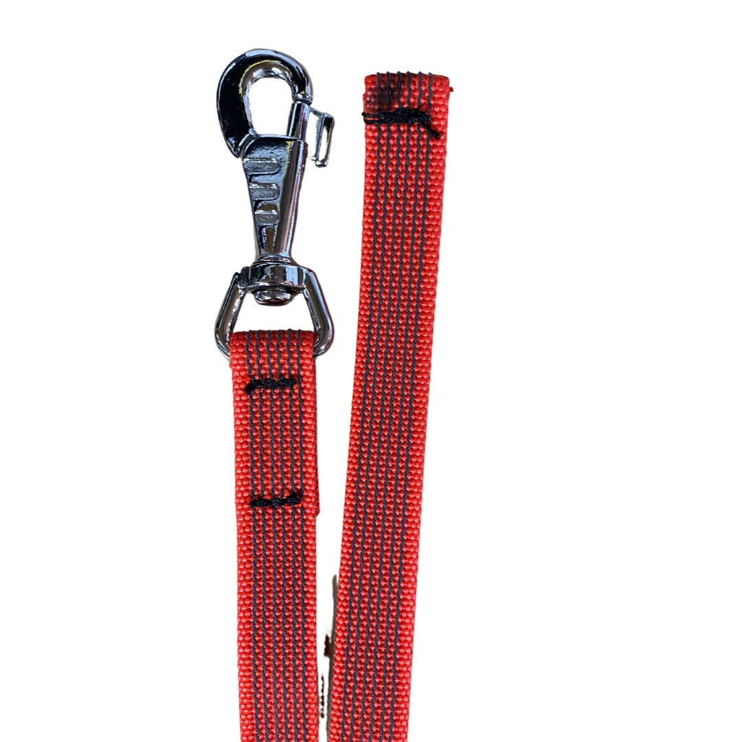 Close-up of red anti-slip dog leash with textured webbing and stainless steel swivel clasp.