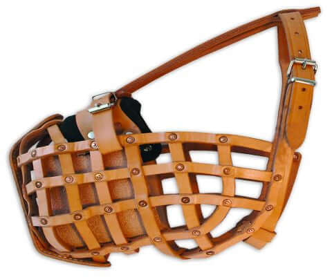 Schweikert basket muzzle