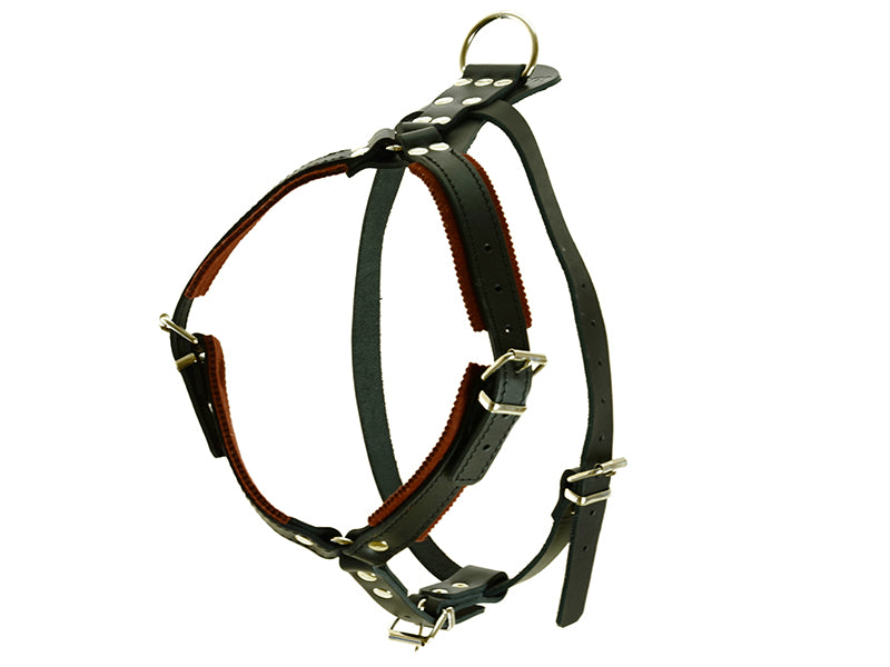 RADDOG leather Y-harness for dogs with adjustable straps, reinforced rivets, and metal D-ring for training and control.